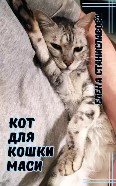 Станиславова Елена – Кот для кошки Маси