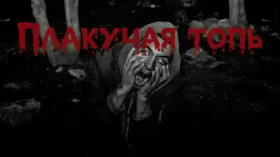 Собиратель тайн – Плакучая Топь