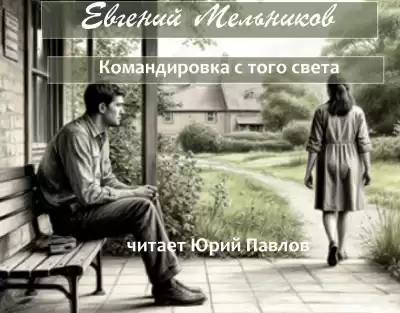 Мельников Евгений – Командировка с того света