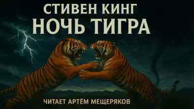 Кинг Стивен – Ночь тигра