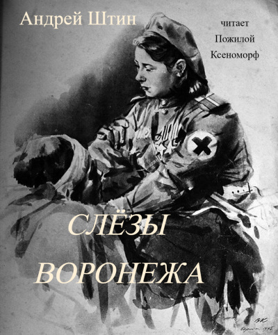 Андрей Штин – Слёзы Воронежа