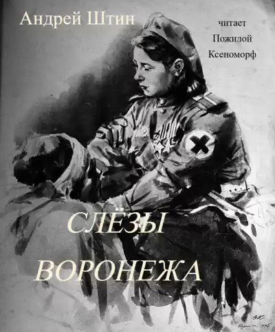 Андрей Штин – Слёзы Воронежа