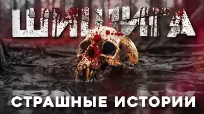 Лихачёва Юлия – Шишига