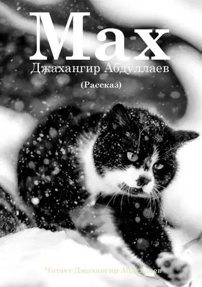 Абдуллаев Джахангир – Макс