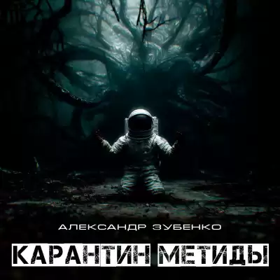 Александр Зубенко – Карантин Метиды