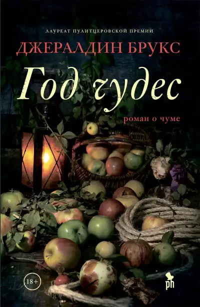 Брукс Джералдин – Год чудес