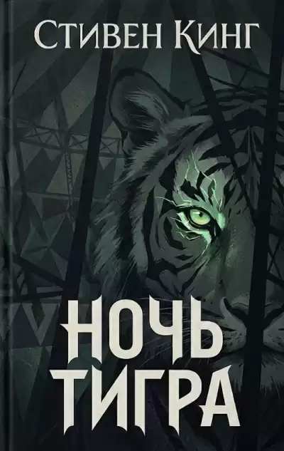 Кинг Стивен – Ночь тигра