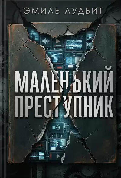 Лудвит Эмиль – Маленький преступник
