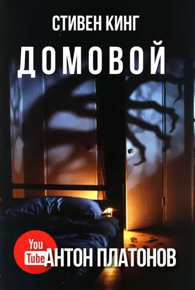 Кинг Стивен – Домовой
