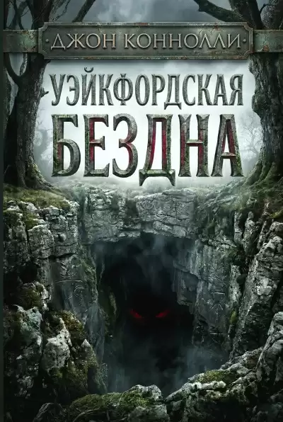 Коннолли Джон – Уэйкфордская бездна